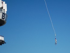 Bungee-Springer_3.JPG